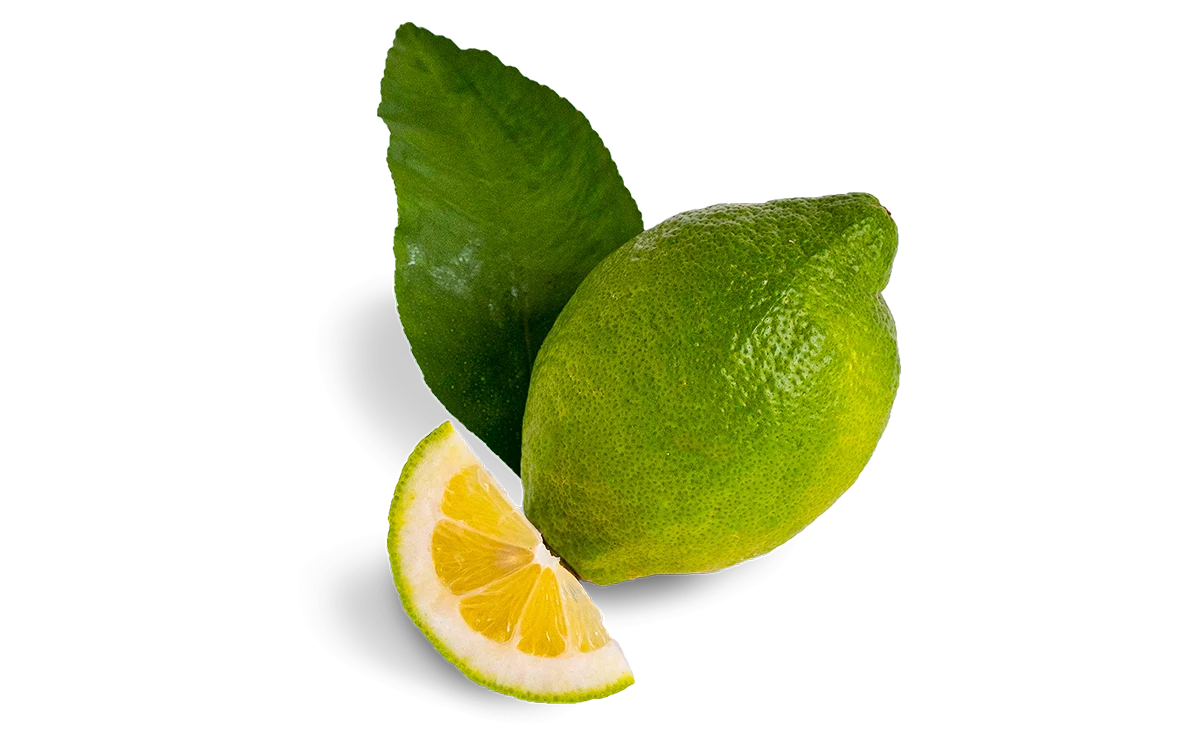 limoni di Sicilia igp